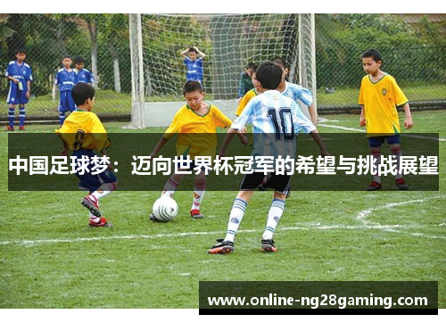 中国足球梦:迈向世界杯冠军的希望与挑战展望 中国足球梦:迈向世界杯冠军的希望与挑战展望