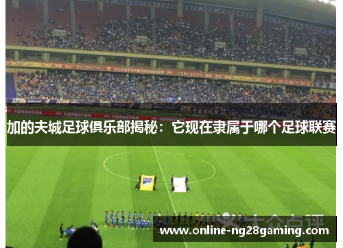 加的夫城足球俱乐部揭秘：它现在隶属于哪个足球联赛