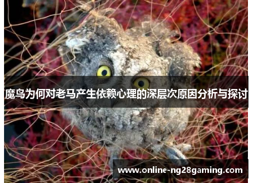 魔鸟为何对老马产生依赖心理的深层次原因分析与探讨