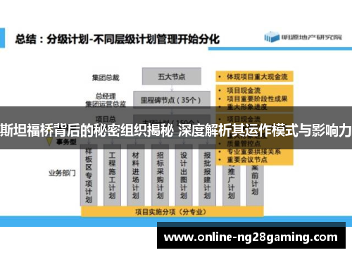 斯坦福桥背后的秘密组织揭秘 深度解析其运作模式与影响力