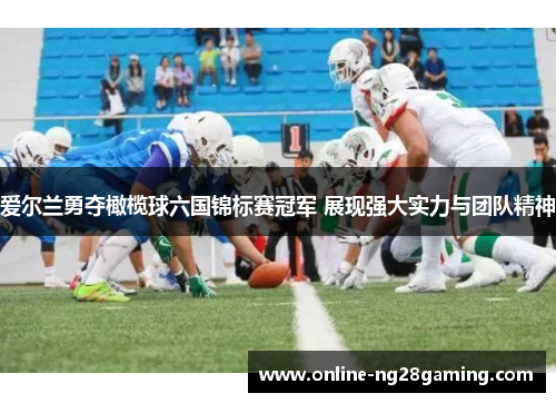 爱尔兰勇夺橄榄球六国锦标赛冠军 展现强大实力与团队精神