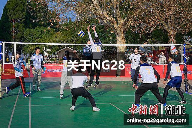 关于NG28